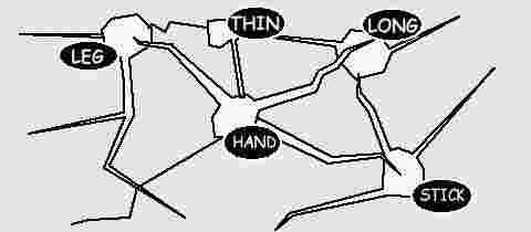 how many neurons in a monkey brain